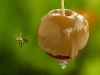 393245_d615_550x900.jpg
