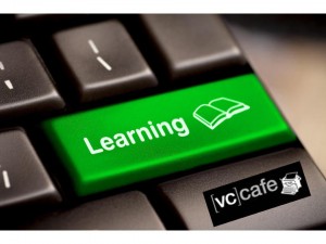 2013 the year of learning VC Cafe